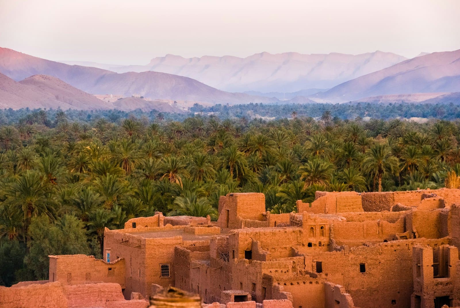 Paysage marocain : kasbah et palmeraie